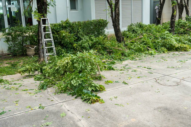 Best Arborist Consultation Services  in Palatine, IL